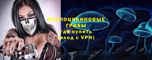 гашик Осташков