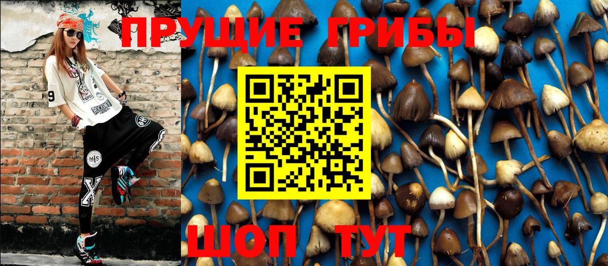 Галлюциногенные грибы ЛСД Ефремов