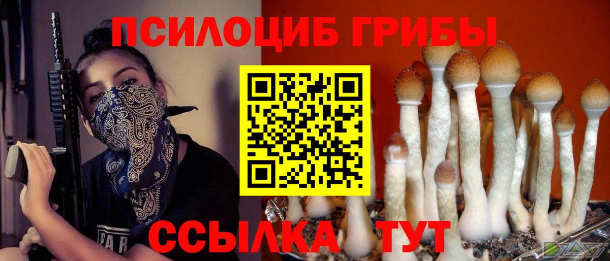 Галлюциногенные грибы прущие грибы Ефремов