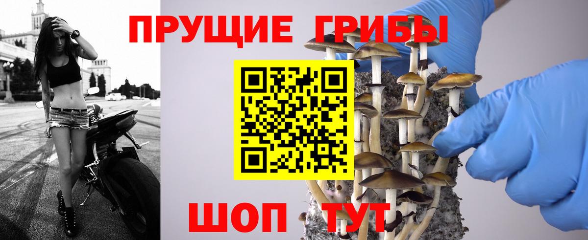 МЕФ Ефремов