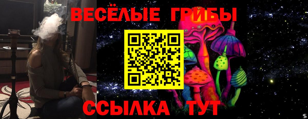 Псилоцибиновые грибы GOLDEN TEACHER  Вход с VPN  Ефремов 