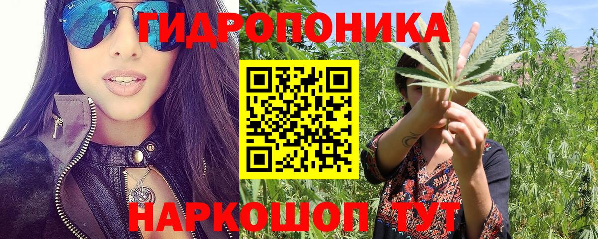 Каннабис тримм  Марихуана Amnesia  Бошки марихуана индика  Ефремов 